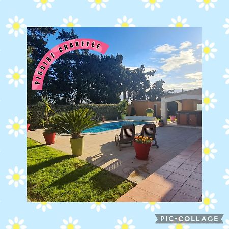 Villa Flamenca - Piscine Chauffee Châteaurenard エクステリア 写真